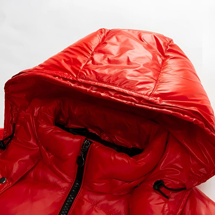 Veste polaire à capuche brillante pour hommes - Isolation hivernale